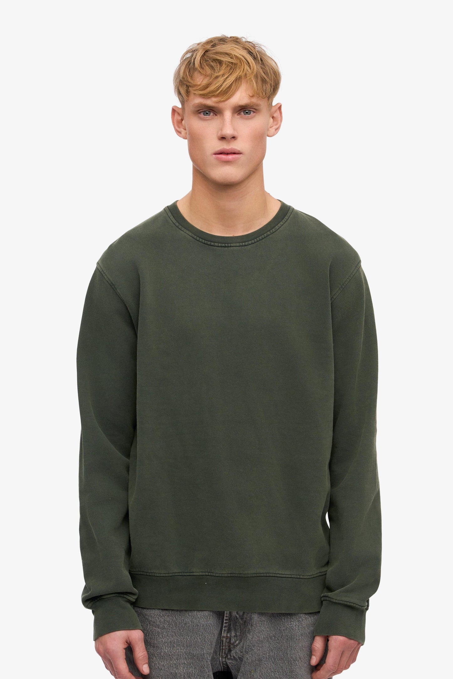 Colorful standard, Classic Organic Crew, Midnight forest