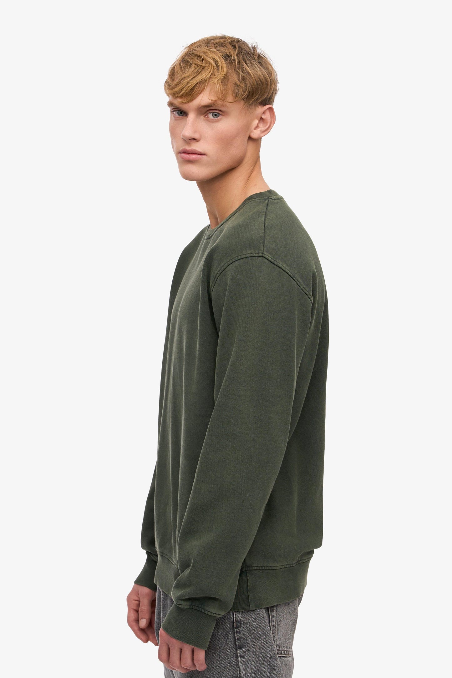 Colorful standard, Classic Organic Crew, Midnight forest