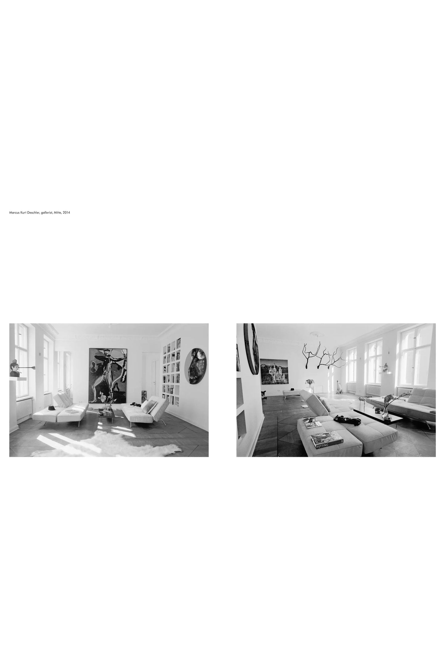 Berlin Living Rooms, Dominique Nabokov