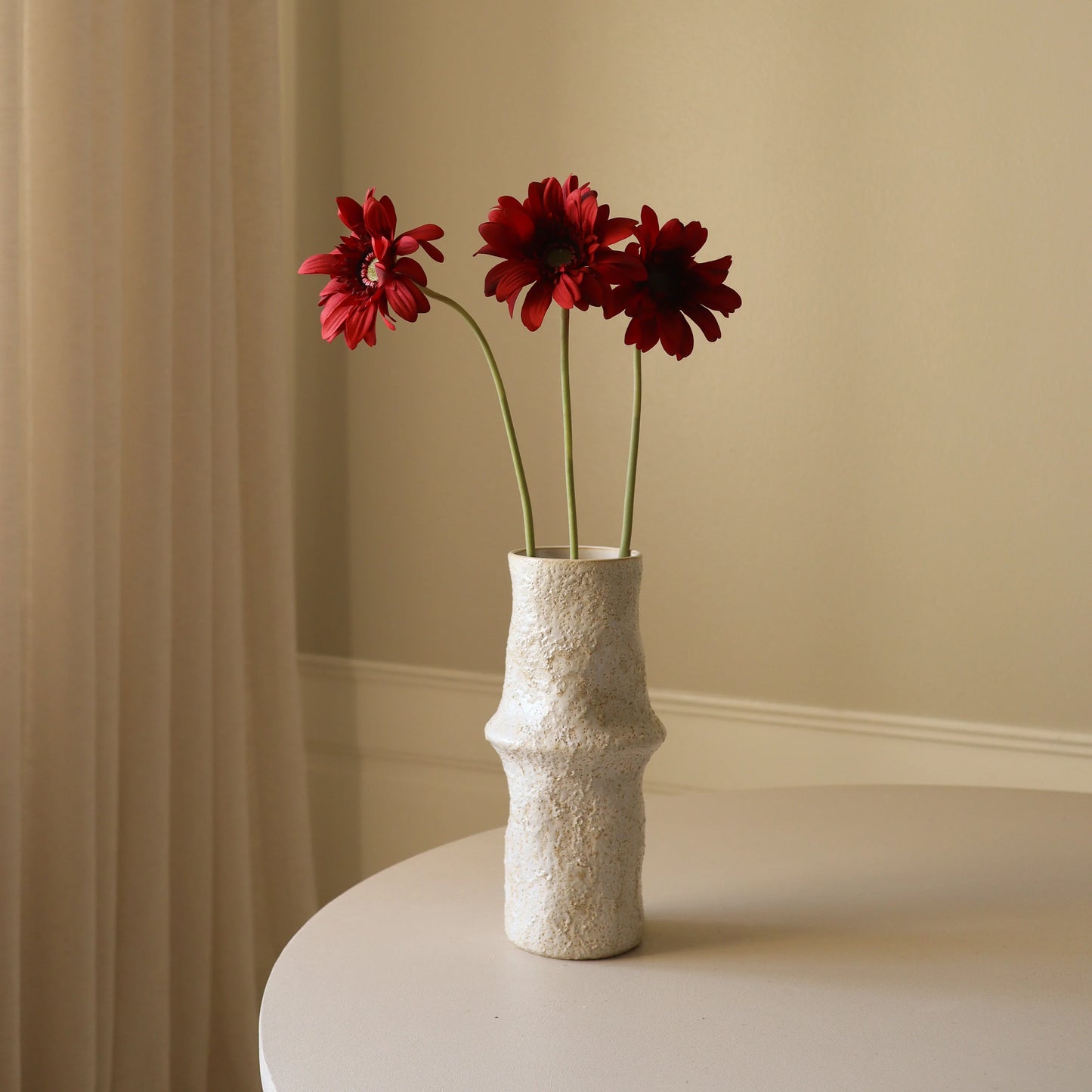 Botané, GERBERA DAISY, DARK RED