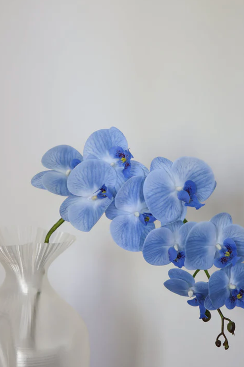 Bloom Object Kunstig Blå Orkidé