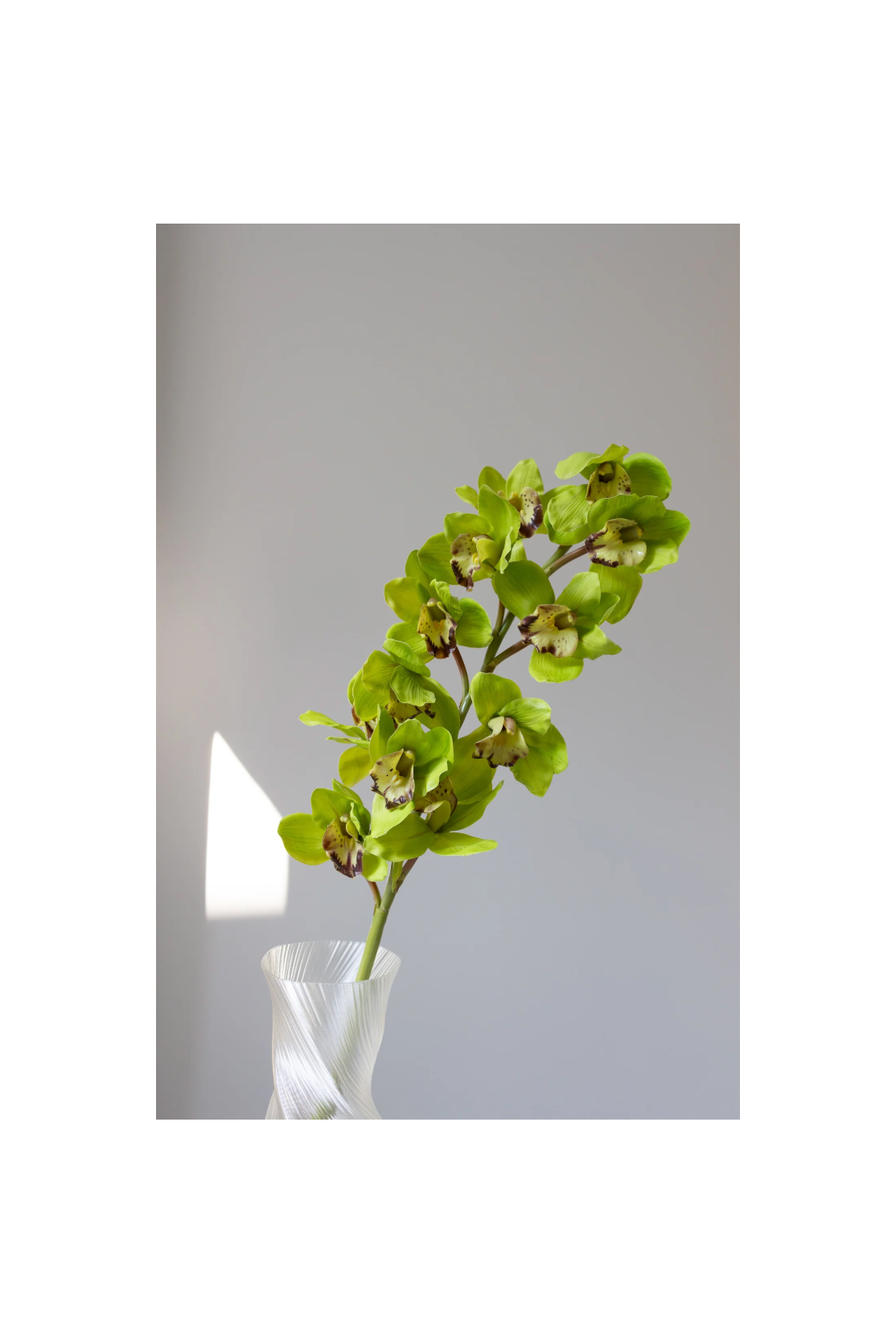 Bloom Object Kunstig Cymbidium Grøn
