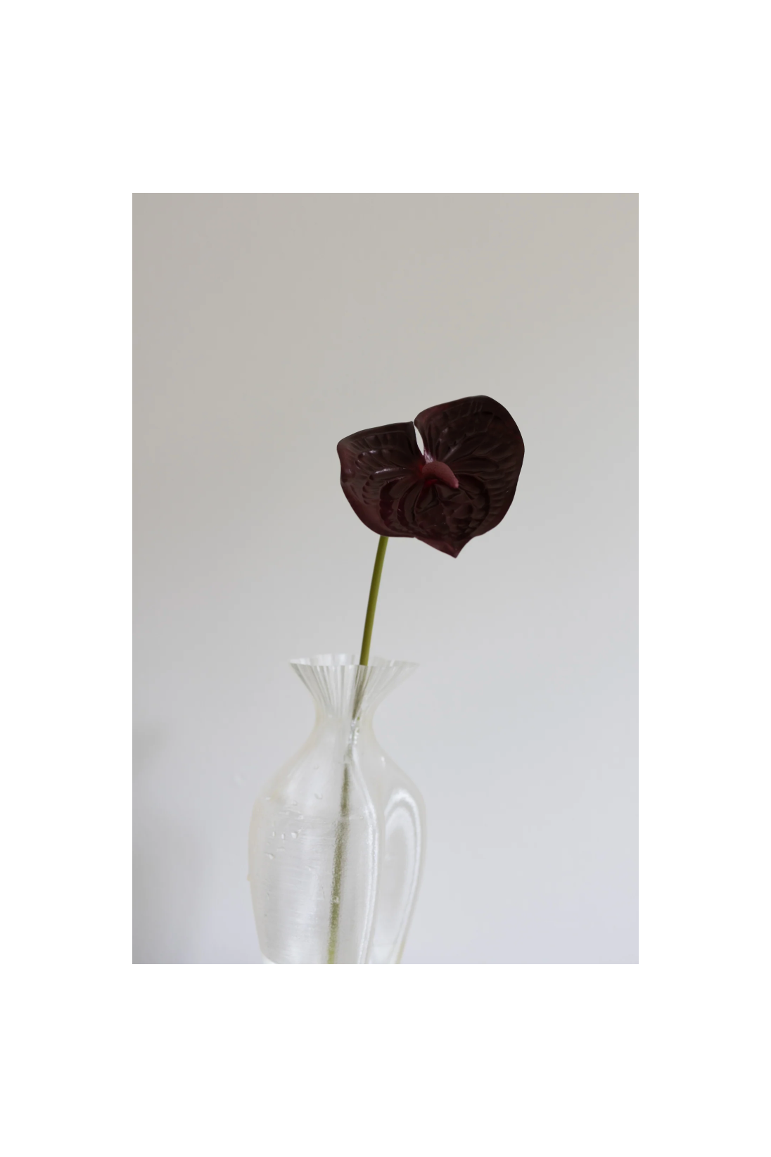 Bloom Object, Kunstig Anthurium Bordeaux