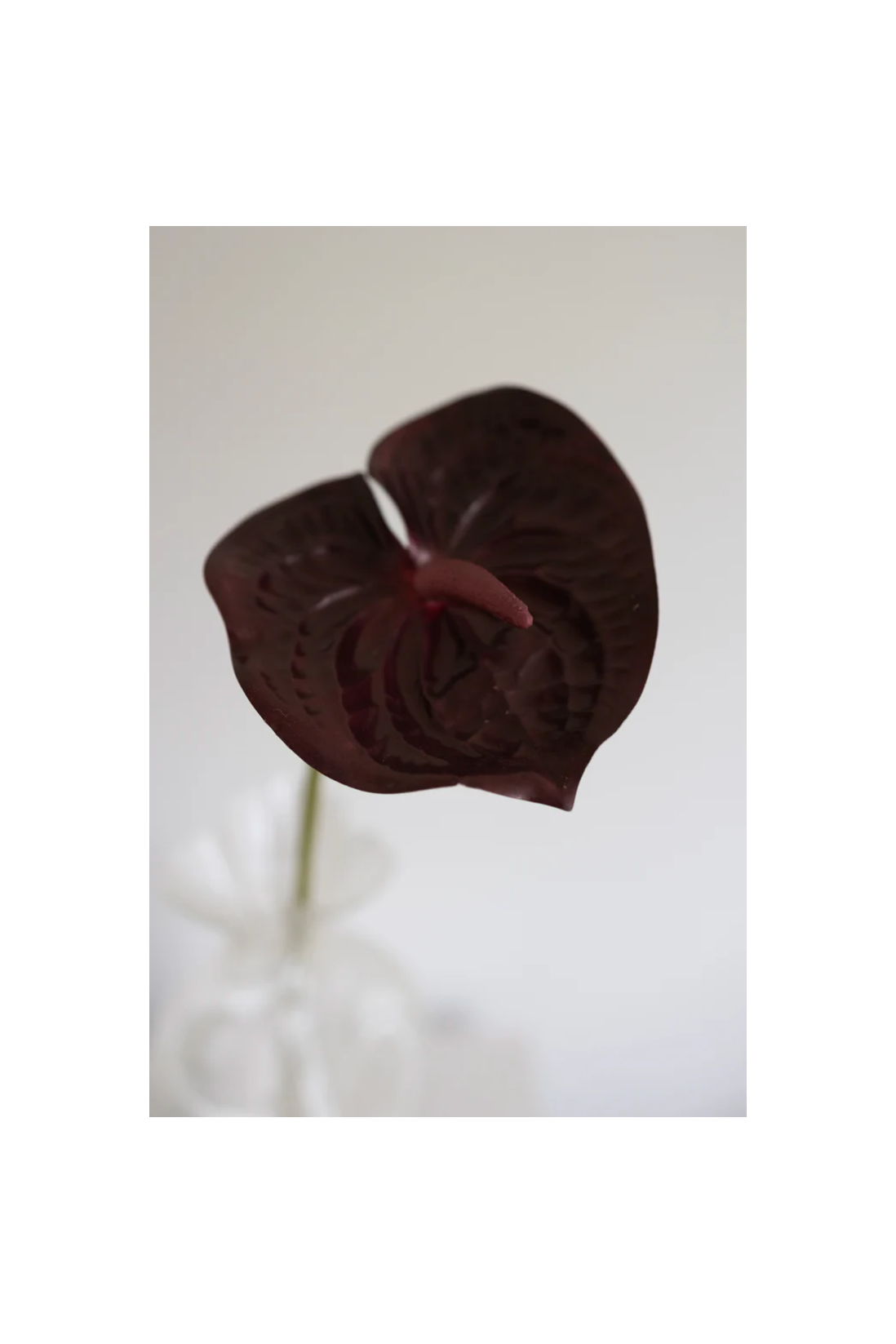Bloom Object, Kunstig Anthurium Bordeaux
