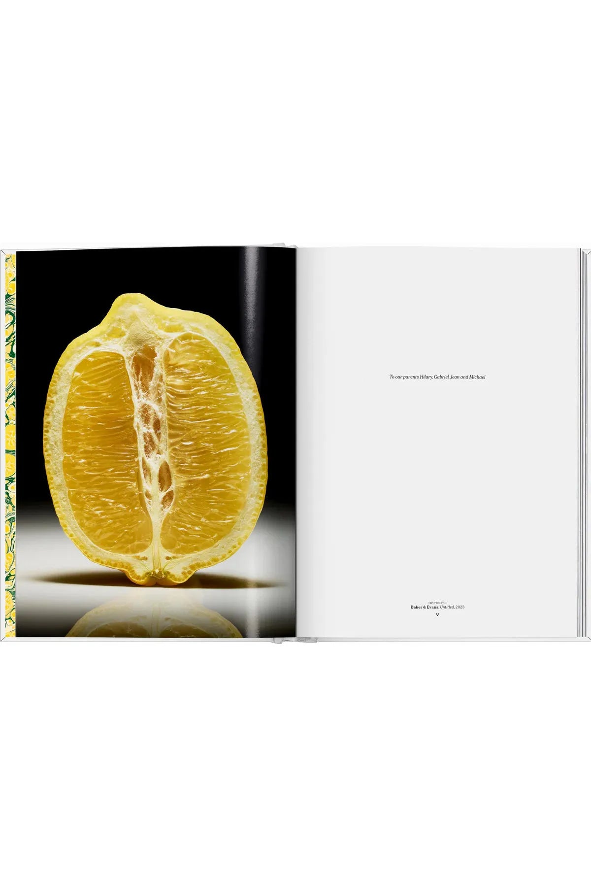 The Gourmand's Lemon. A Collection of Stories and Recipes