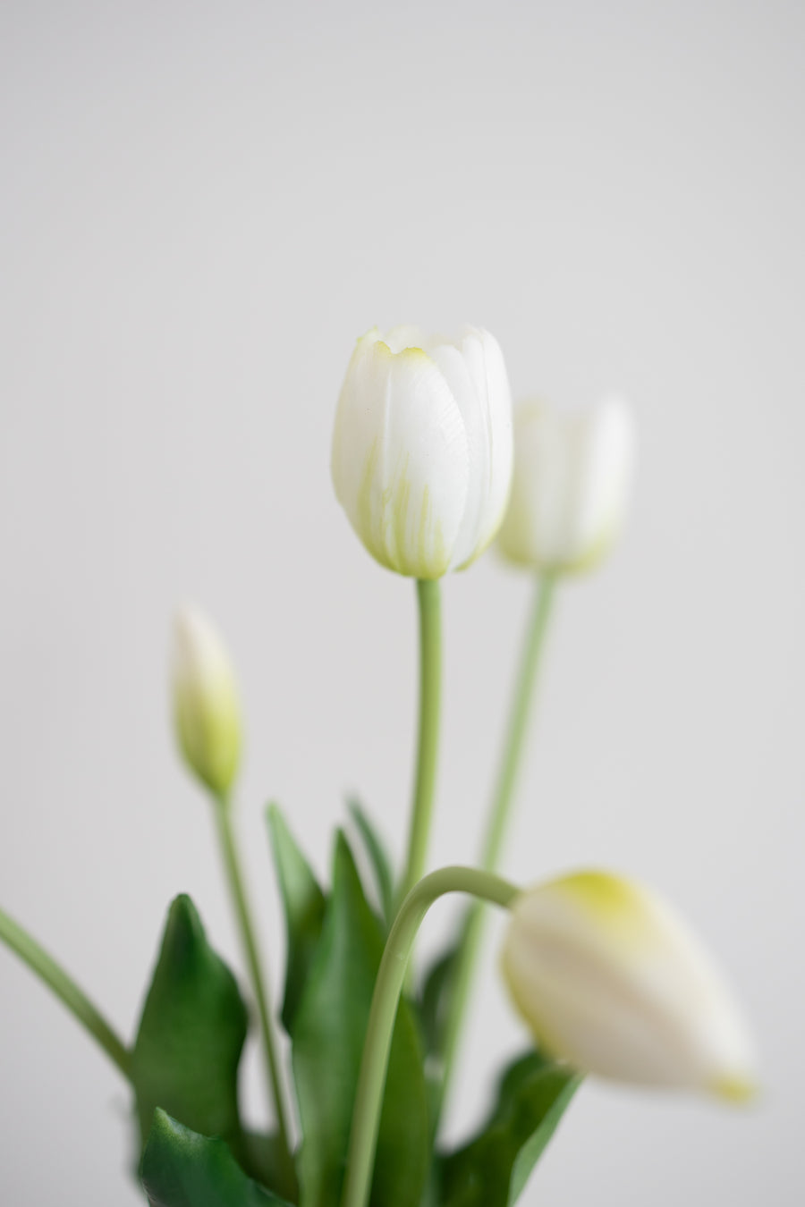 Bloom Objects, Kunstige Enkelbladede Tulipaner, Hvid