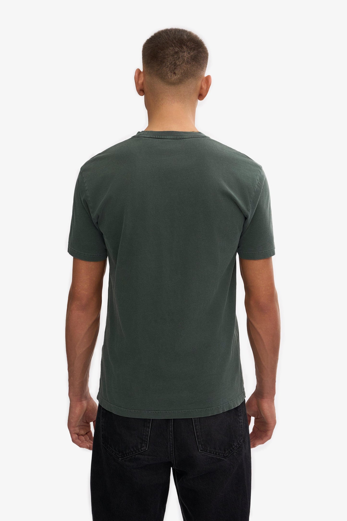 Colourful Standard, Classic Organic Tee, Midnight Forest