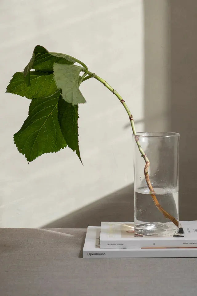 FRAMA, 0405 Vase Klar