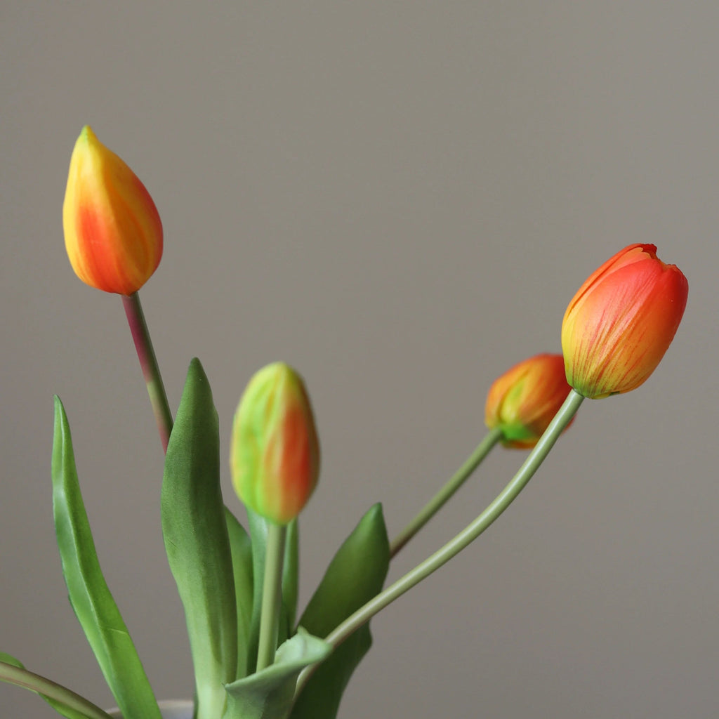 Botané, TULIPS BUNDLE, Orange