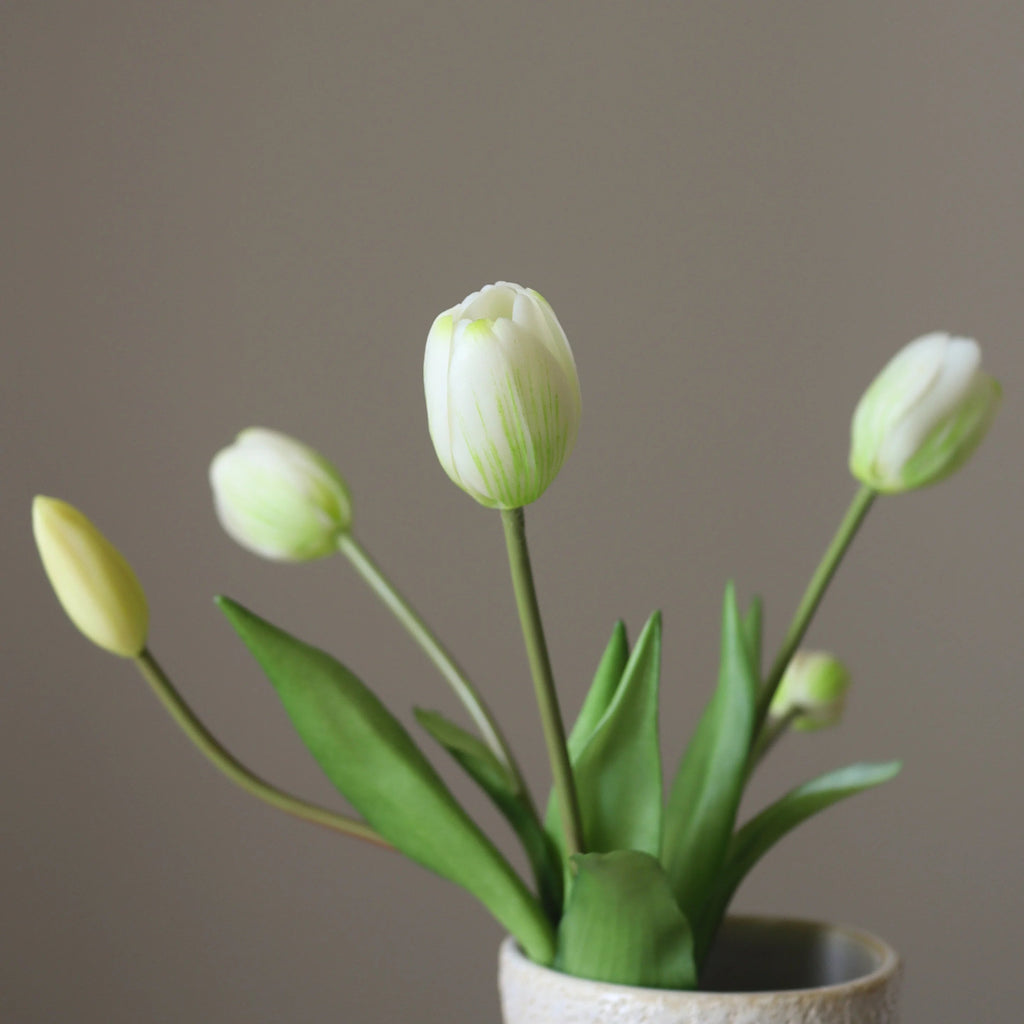 Botané, TULIPS BUNDLE, White