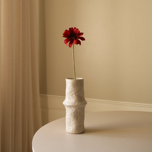 Botané, GERBERA DAISY, DARK RED