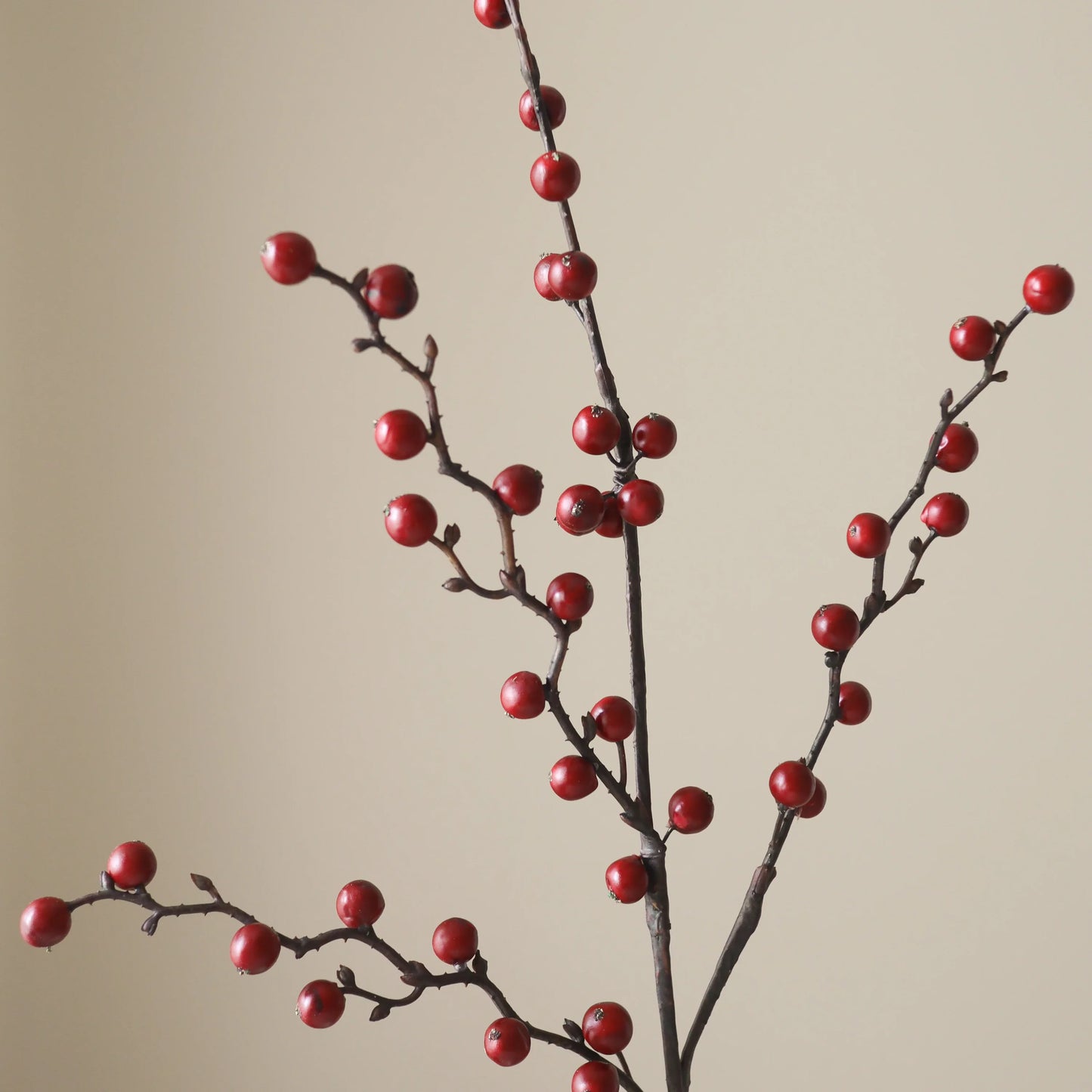 Botané, WINTERBERRY BRANCH, Dark Red