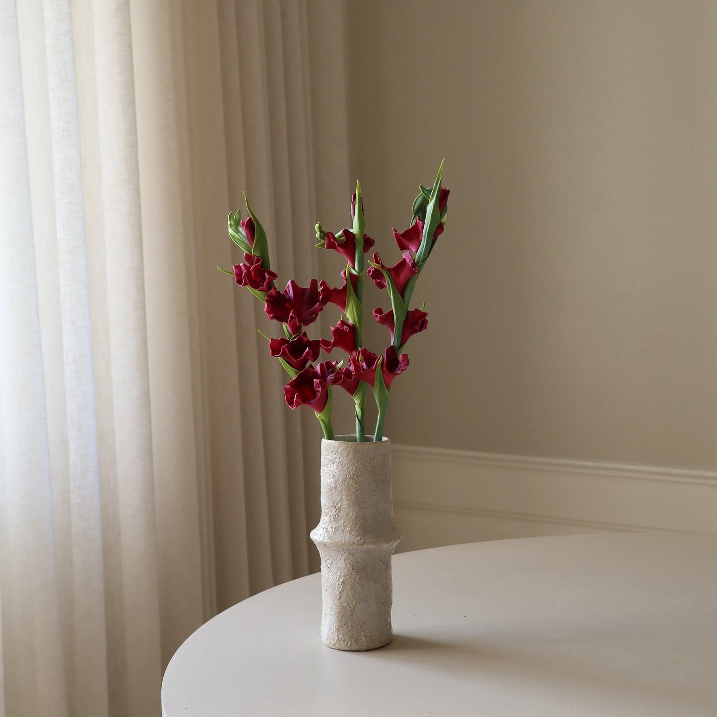 Botané, GLADIOLUS, DARK RED