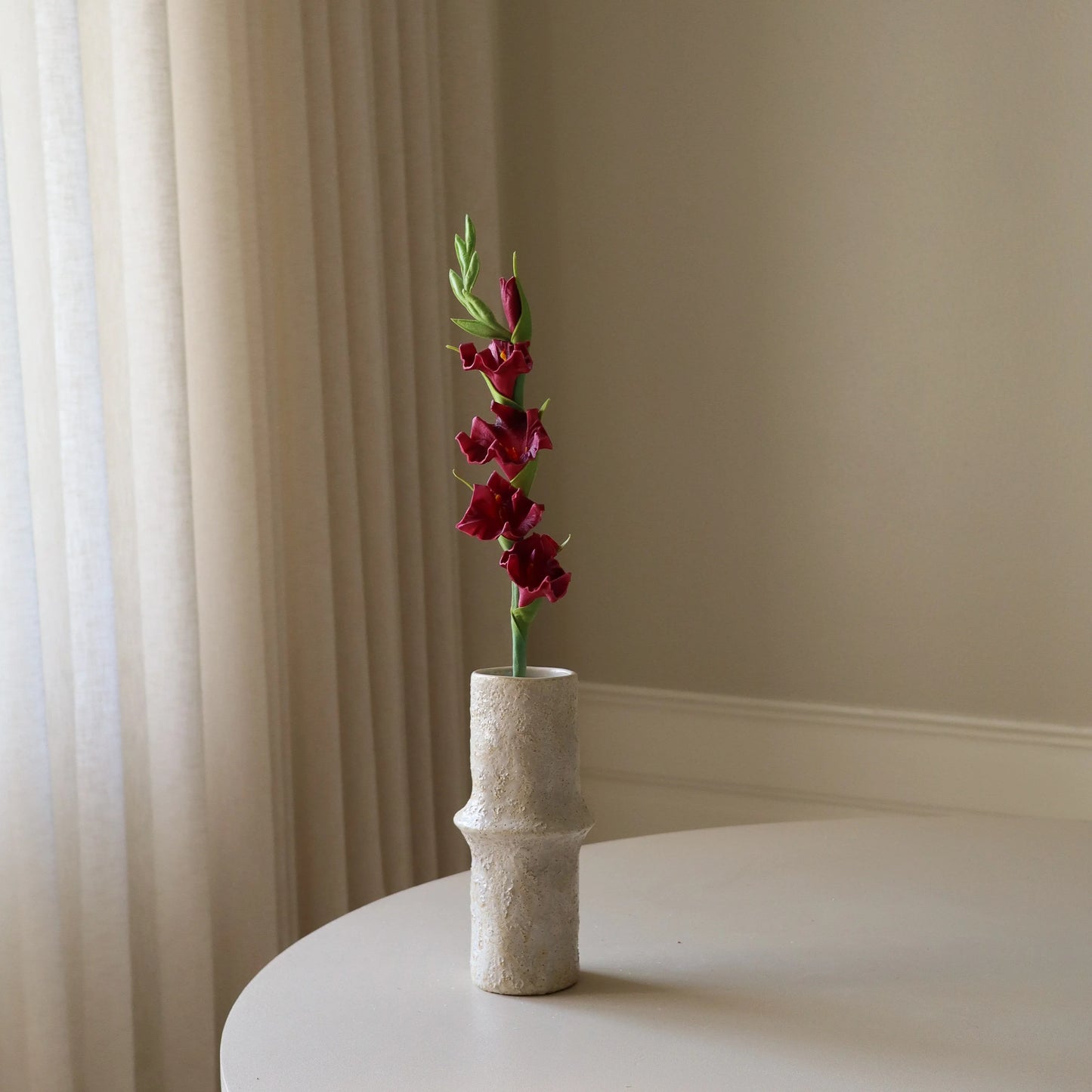 Botané, GLADIOLUS, DARK RED