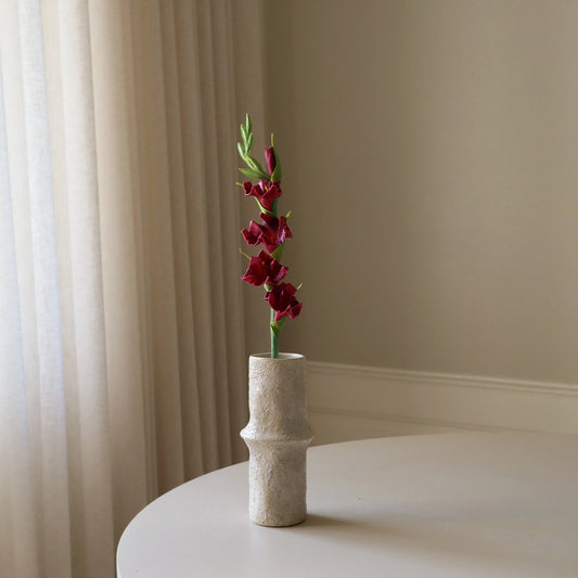 Botané, GLADIOLUS, DARK RED