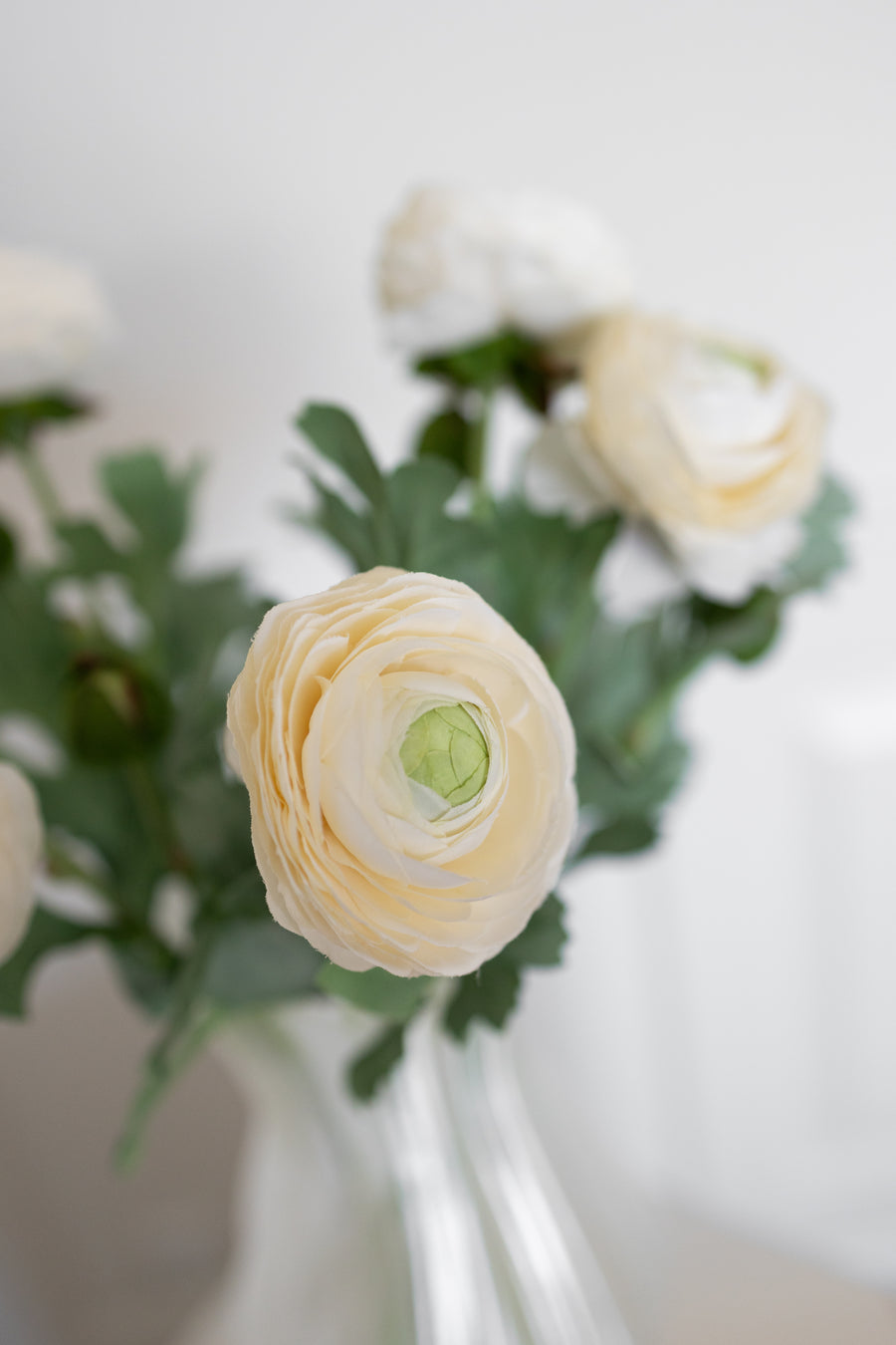 Bloom Objects, Ranunculus, Hvid