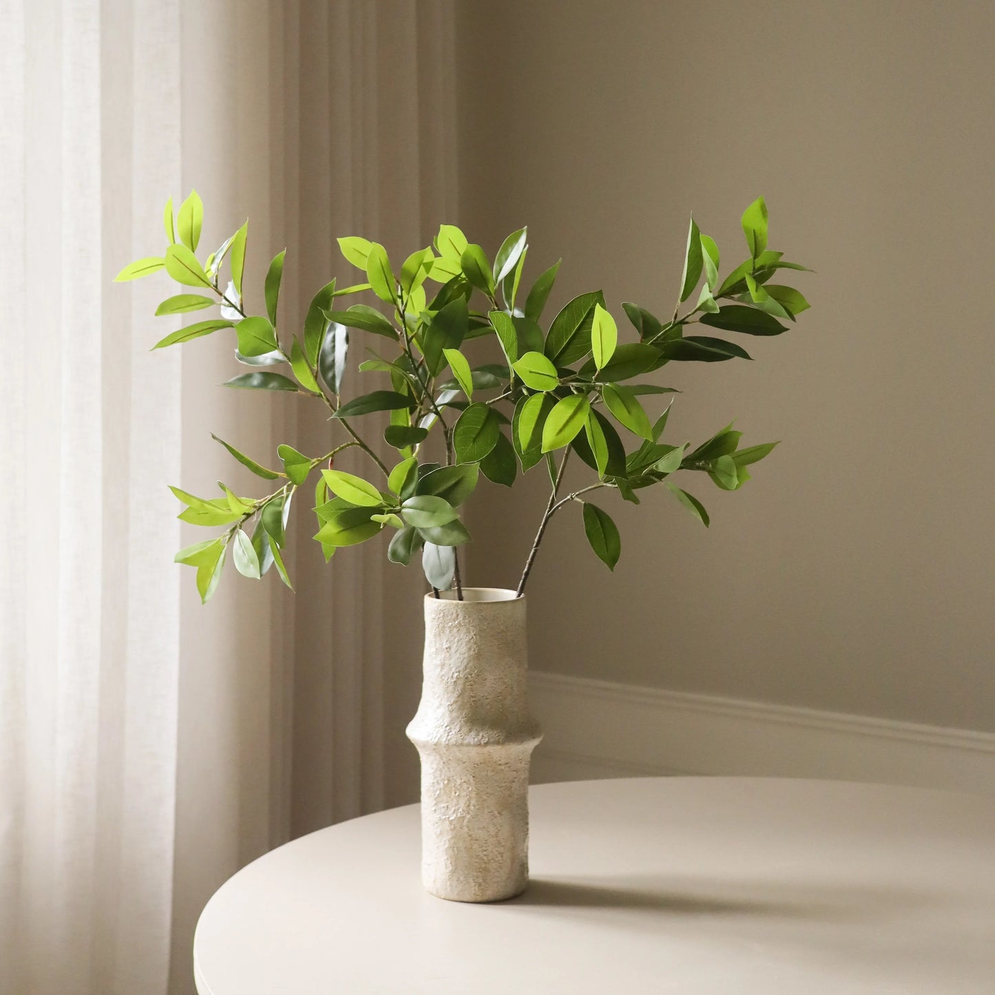 Botané, RUSCUS LEAVES, Green