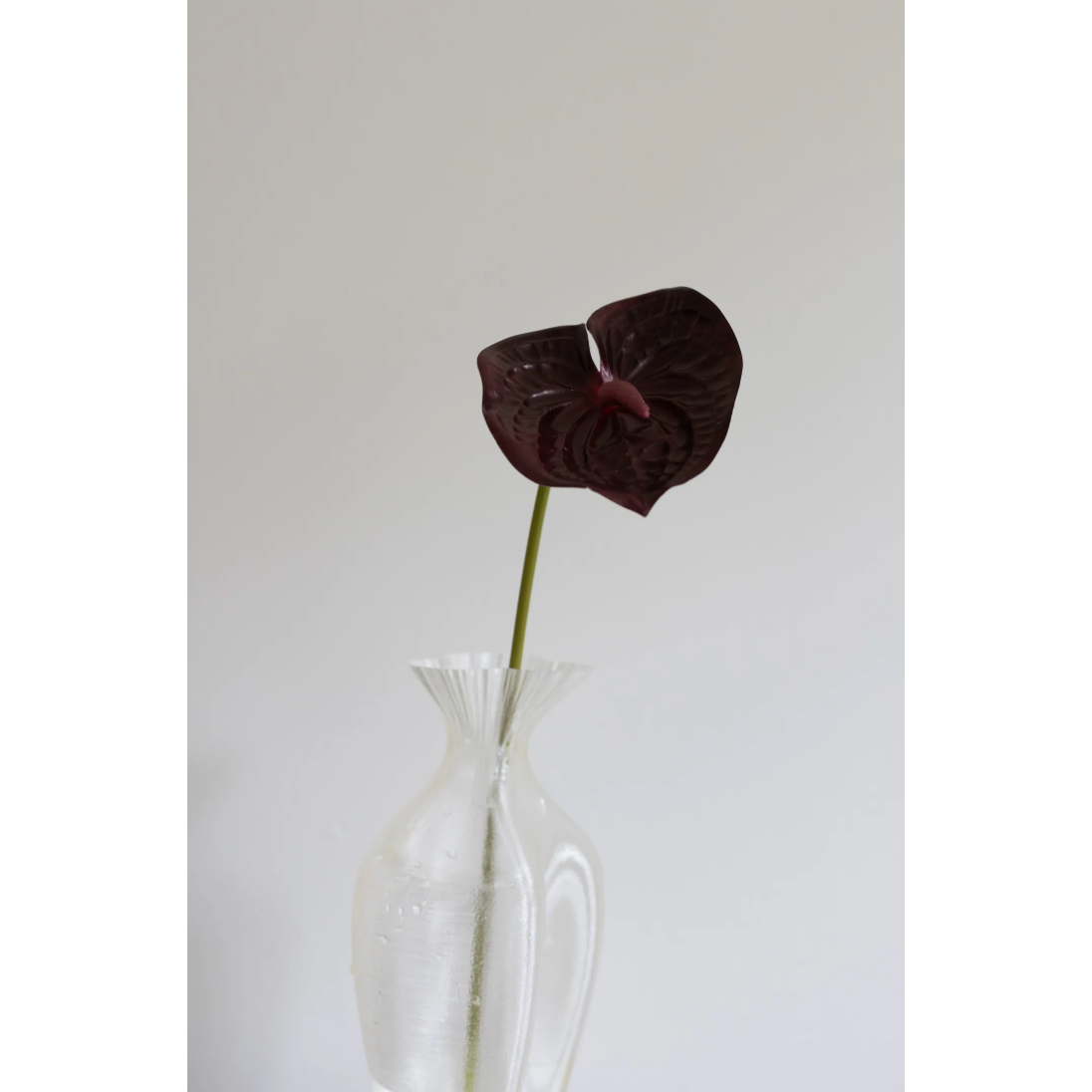 Bloom Object, Kunstig Anthurium Bordeaux