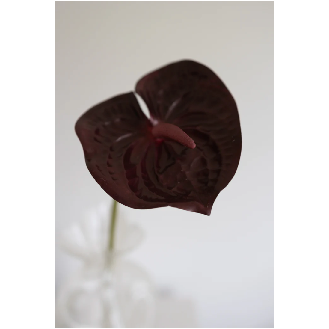 Bloom Object, Kunstig Anthurium Bordeaux